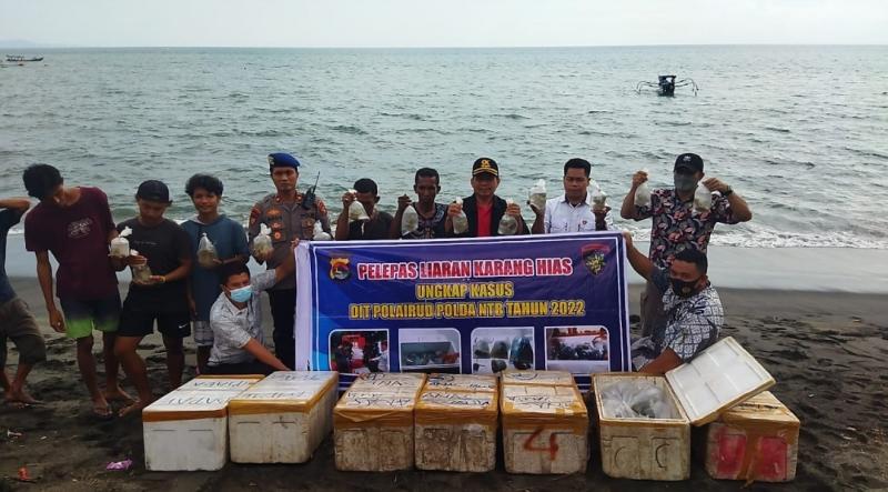 Pelepasan karang hias hasil penangkapan yang dilakukan Ditpolairud Polda NTB bersama KKP di perairan Montong, Lombok Barat.(foto/dok.KKP)  