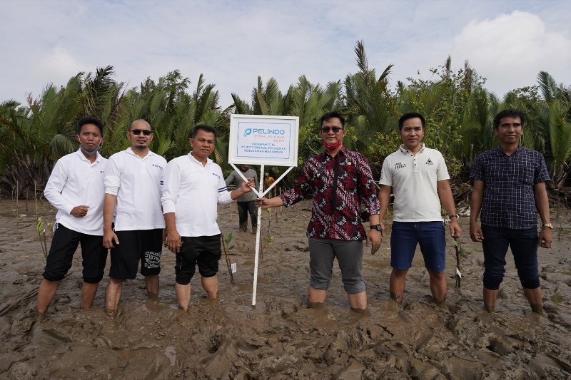 Penanaman Mangrove di Palembang