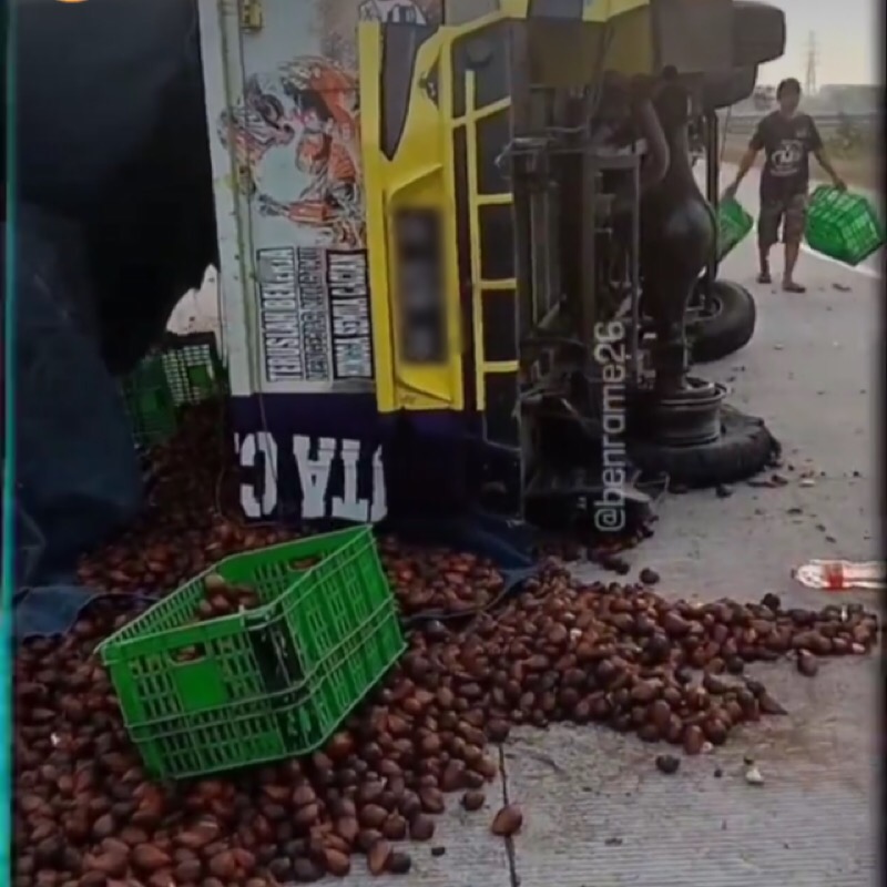 Truk muatan salak terguling akibat ban pecah di Tol Sragen-Ngawi, Rabu (3/8/2022). Foto: tangkapan layar/ Instagram @benrame26