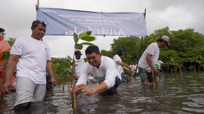 Penanaman pohon mangrove di Tahura, Bali