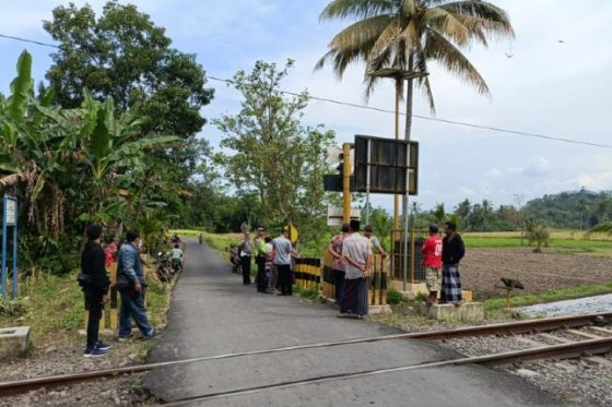 Perlintasan kereta api di Desa Sumberlesung, Kecamatan Ledokombo, Kabupaten Jember, TKP kecelakaan tiga orang meninggal akibat tertabrak KA Pandanwangi rute Banyuwangi-Jember, Sabtu (13/8).