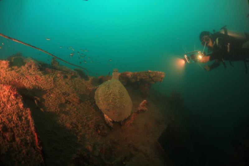 Peserta lomba foto dan video bawah laut Exploring Mandeh Road To Bulan Cinta Laut, berada di bangkai Kapal MV Boelongan Nederland yang tenggelam 100 tahun lalu di perairan Mandeh, Kabupaten Pesisir Selatan, Sumatera Barat.