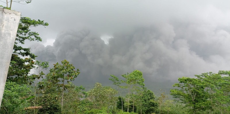 Awan panas guguran (APG) Gunung Semeru yang terjadi pada Minggu (4/12/2022). Foto: BNPB.