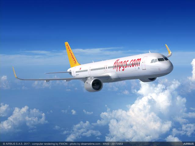 Pegasus Airlines. (Ilustrasi)