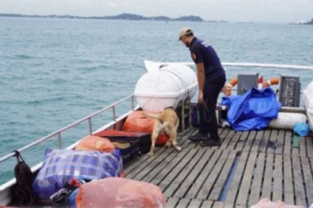 Petugas Bea Cukai Batam memeriksa Kapal SB Rahmat Jaya 12 yang membawa muatan berbagai barang ilegal di Perairan Tanjung Riau, Batam, Kepulauan Riau. Foto/Antara