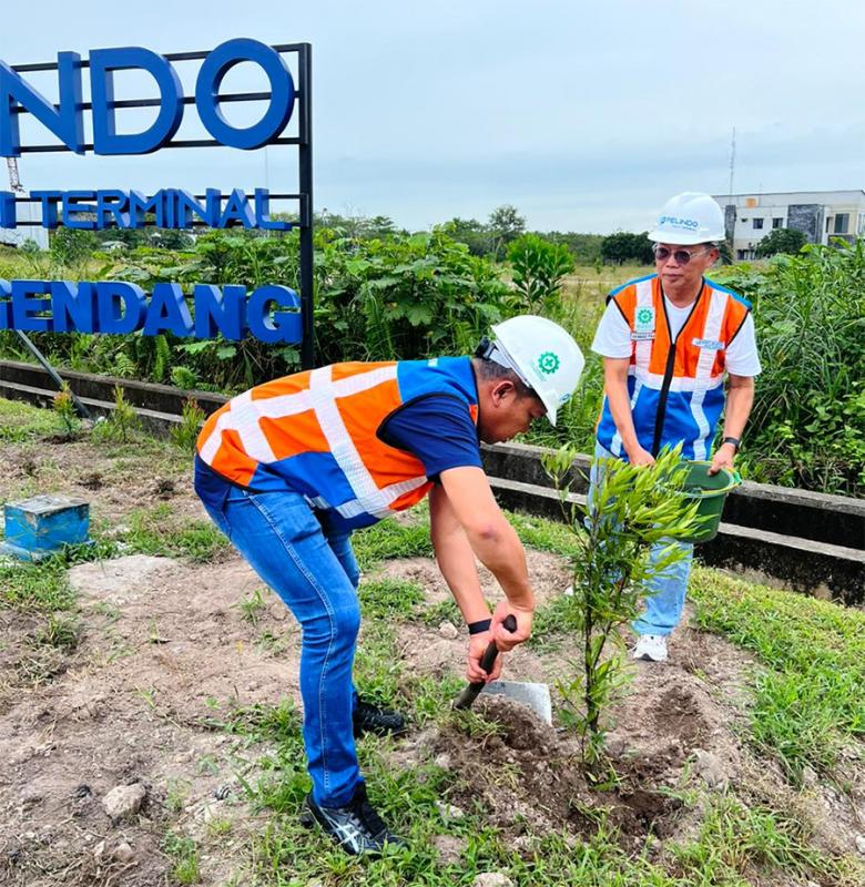 Direktur Utama Pelindo Multi Terminal Drajat Sulistyo ikut serta dalam kegiatan  penanaman pohon, di area Pelabuhan Bagendang, Sampit, Kotawaringin Timur, Kalimantan Tengah./foto:istimewa/SPMT
