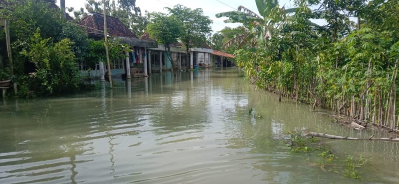 Kondisi banjr di wilayah Kabupaten Grobogan, Jawa Tengah, Senin (2/1/2023). Foto: istimewa.