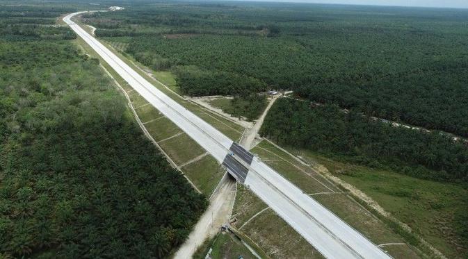 Foto:Ilustrasi Jalan Tol