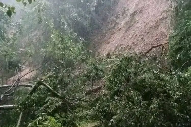 Hujan deras yang melanda wilayah Kabupaten Manggarai, NTT, selama satu pekan terakhir mengakibatkan jalan dari Kecamatan Cibal Barat menuju Ruteng ibu kota Kabupaten Manggarai, tertutup longsor sejak Minggu (5/2/2021/3) malam.(Dokumen warga)