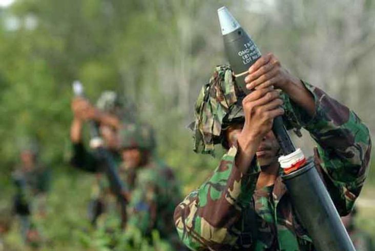 Mortir kaliber 81 mm sangat populer karena sejumlah keunggulan yang dimiiki.
