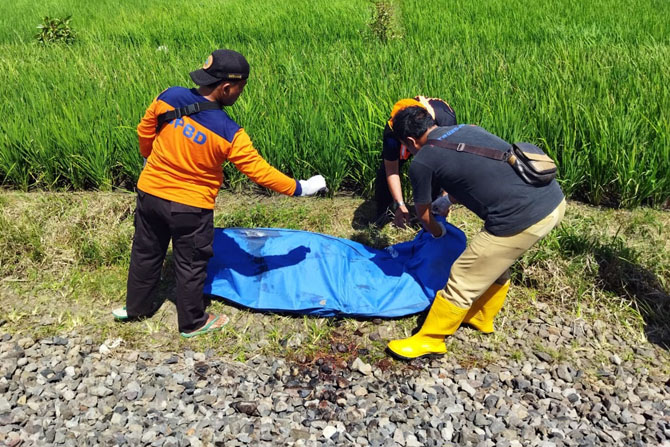 Petugas melakukan evakuasi terhadap korban yang tertabrak kereta api di Desa Jatirejoyoso, Kecamatan Kepanjen, kemarin siang (21/2). (BPBD Kabupaten Malang)