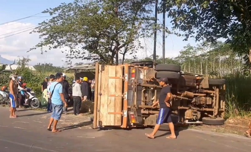 Truk angkut 20 orang terguling di Lumajang. Foto: istimewa.