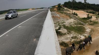 Ilustasi.Hutama Karya membangun terowongan gajah di sejumlah titik jalan tol Pekanbaru-Dumai (dok: HK)