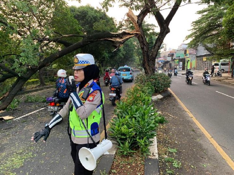 Satlantas Polres Metro Depok mengatur arus lalu lintas dan mengevakuasi pohon tumbang di Jalan Juanda, Kecamatan Sukmajaya, Kota Depok pada Senin (22/5/2023) pagi. Foto: istimewa.