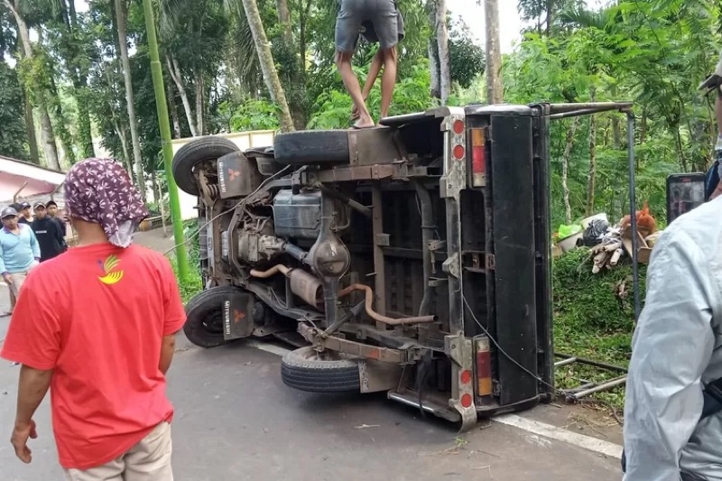 Mobil pick up mengalami kecelakaan di jalur destinasi wisata Kawah Ijen, Banyuwangi. Foto: istimewa.