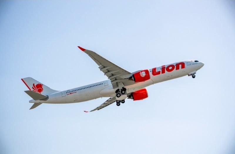 Pesawat Lion Air.(Ist)