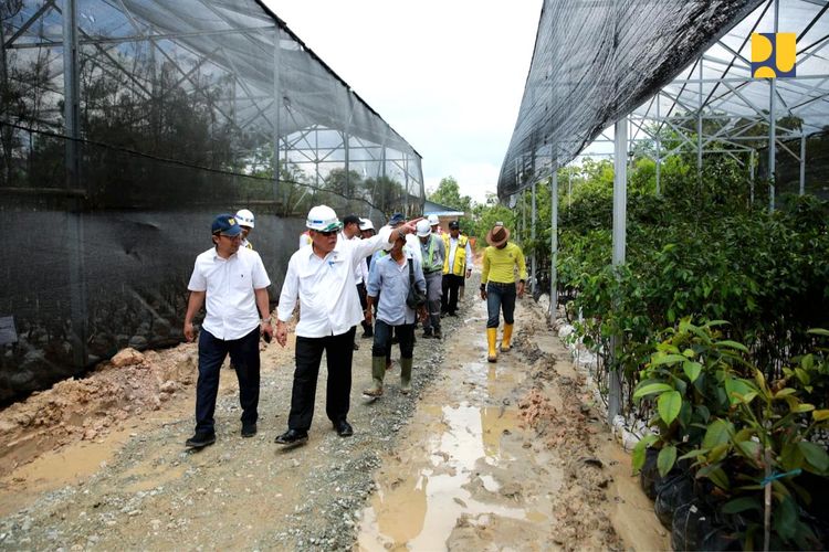 Menteri PUPR Basuki Hadimuljono meninjau nursery pendukung penghijauan koridor Tol IKN, Kalimantan Timur.