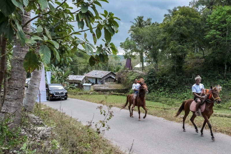 Kawanan kuda iringi ketibaan Menparekraf di Pulau Sumba