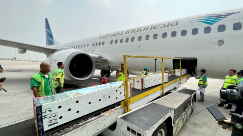 Pesawat Garuda saat layani angkutan Komodo ke Labuan Bajo