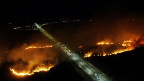 Kebakaran lahan di dekat tol Palindra. Foto: Istimewa