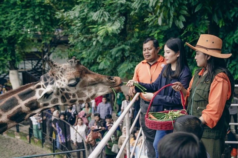 Wamenparekraf Angela di Kebun Binatang Surabaya