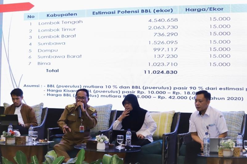 Tenggara Barat Muslim tengah memaparkan estimasi potensi benih bening lobster (BBL) di NTB kepada para peserta Konsultasi Publik “Harga Patokan Terendah BBL di Nelayan” yang dilaksanakan KKP di Mataram. 