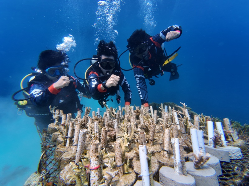 Pelestarian Terumbu Karang di Raja Ampat