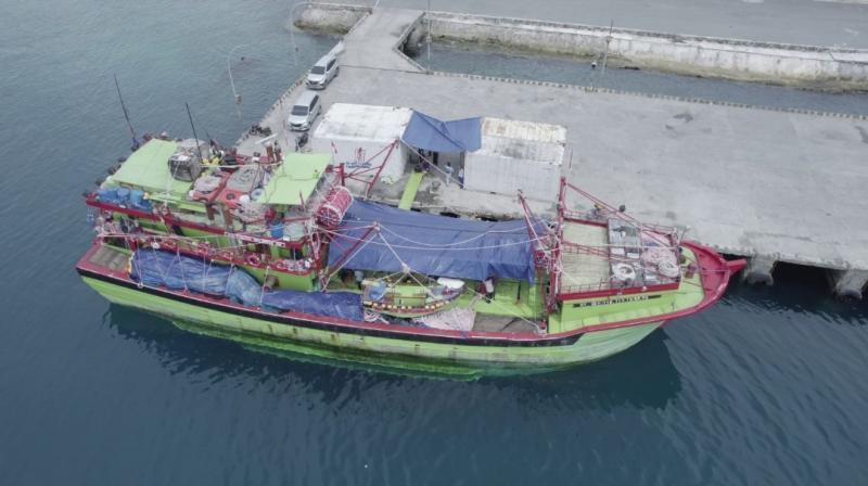 Aktivitas bongkar ikan dari kapal nelayan di Pelabuhan Biak yang dimasukan kedalam container berpendingin untuk dikirim ke Surabaya. (Ist)