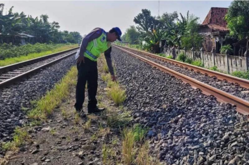 Petugas olah TKP di lokasi kejadian lakalantas di perlintasan KA di Karangawen. 