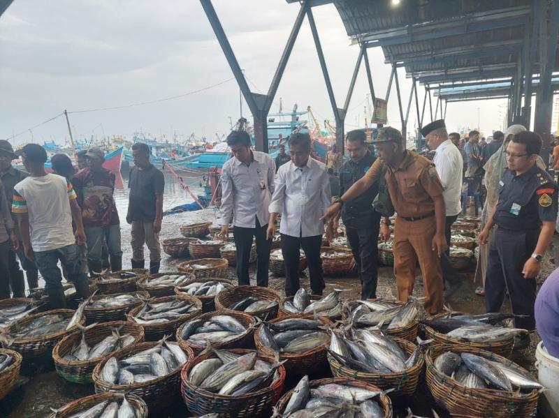Dirjen PDSPKP saat meninjau langsung  ikan ikan hasil tangkapan nelayan di PPS Lampulo