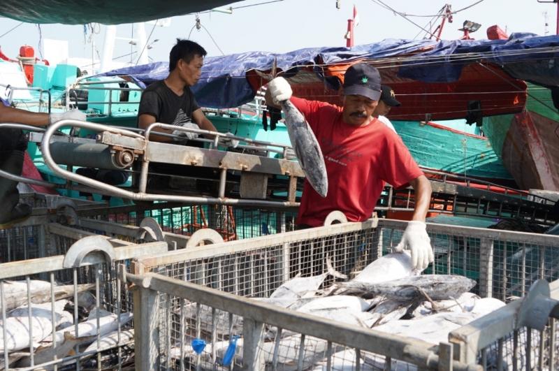 Aktivitas pembongkaran ikan dari kapal penangkapan yang akan dimasukan ke dalam cold storage di Muara Baru. (Foto:dok.KKP)