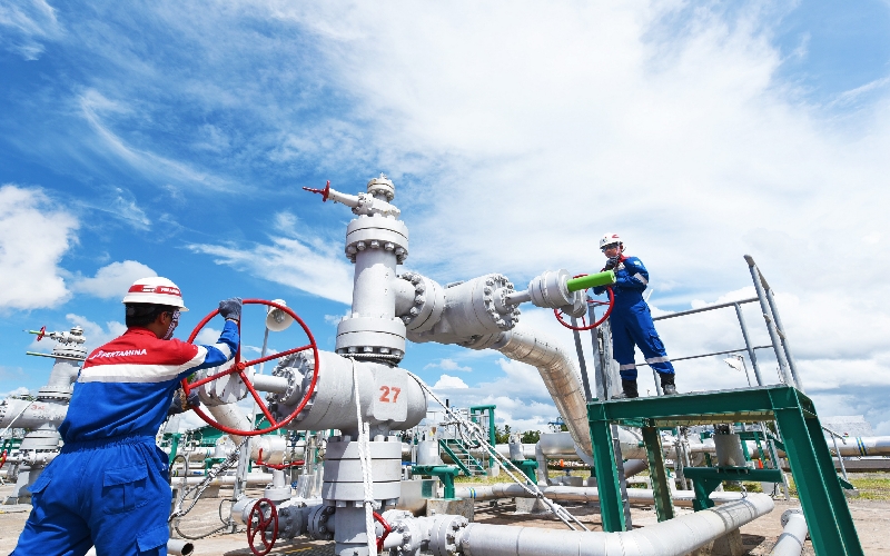 Foto istimewa/Pertamina Geothermal Energy Tbk (PGE)