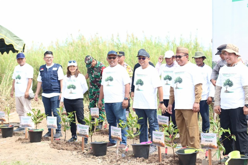 SPMT Grup tanam 30.000 Magrove di Kalteng
