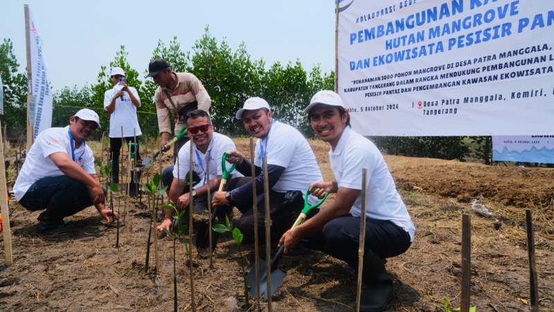 Tim ASDP tanam 3.000 Mangrove di Tangerang