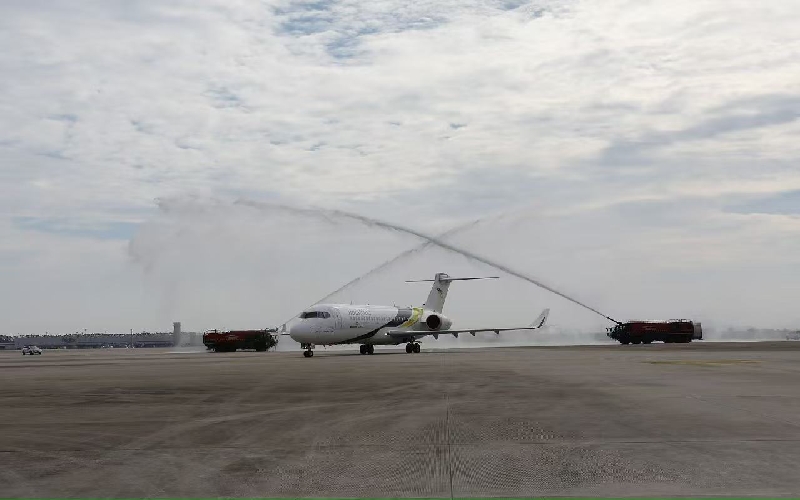 Pesawat TransNusa. Foto istimewa/transnusa