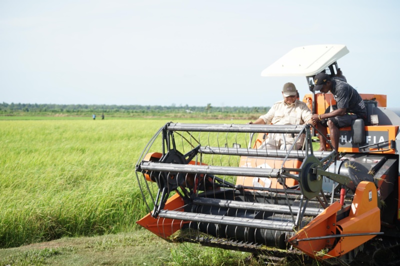 Lahan pertanian di Merauke