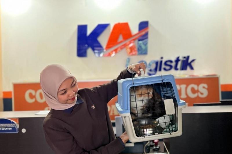 Foto:Istimewa